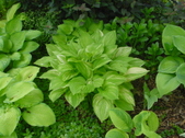 Enlarge photo 32