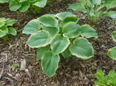 Enlarge photo 25
