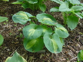 Enlarge photo 9