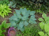 Enlarge photo 37