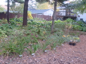 Enlarge photo 24