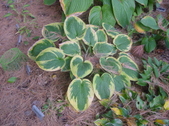 Enlarge photo 14