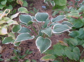 Enlarge photo 16