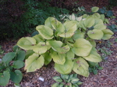Enlarge photo 13