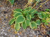 Enlarge photo 11