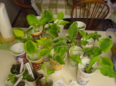 Enlarge photo 4