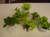 Enlarge photo 15