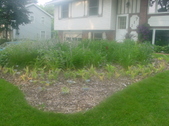 Enlarge photo 30