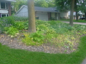Enlarge photo 31