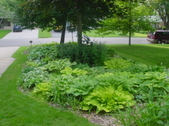 Enlarge photo 33