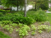 Enlarge photo 35