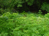 Enlarge photo 36