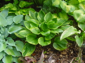 Enlarge photo 8