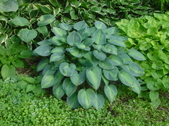 Enlarge photo 16
