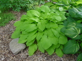 Enlarge photo 20