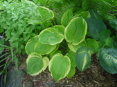 Enlarge photo 25