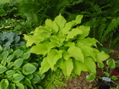Enlarge photo 29