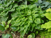 Enlarge photo 23