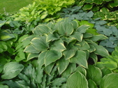 Enlarge photo 2