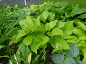 Enlarge photo 12