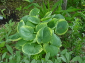Enlarge photo 15