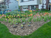 Enlarge photo 46
