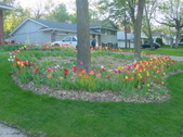 Enlarge photo 47