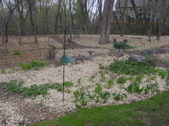 Enlarge photo 17