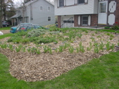 Enlarge photo 25