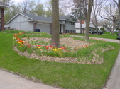 Enlarge photo 26