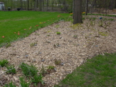 Enlarge photo 29