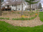 Enlarge photo 30