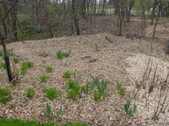 Enlarge photo 31