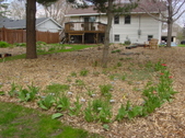 Enlarge photo 33
