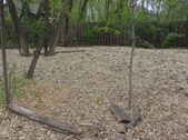 Enlarge photo 35