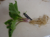 Enlarge photo 22