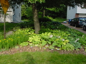 Enlarge photo 28
