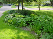 Enlarge photo 29