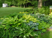Enlarge photo 30