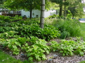 Enlarge photo 31