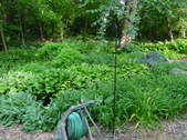 Enlarge photo 33