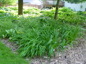 Enlarge photo 34