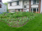 Enlarge photo 31