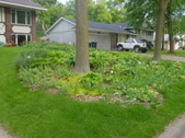 Enlarge photo 32