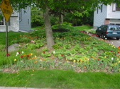 Enlarge photo 33