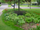 Enlarge photo 34