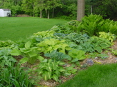 Enlarge photo 35