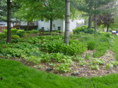 Enlarge photo 36