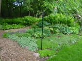 Enlarge photo 39