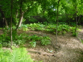 Enlarge photo 41